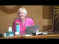 Summit Common Council Meeting March 17 2026