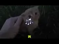 [ Lyrics/Vietsub ] it’s like i’m not even here - mthu