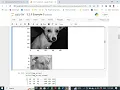 Classification of dogs and cats project