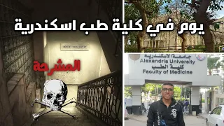 يوم في كلية الطب جامعة اسكندرية سكشن اناتومي وسكشن هستولوجي 
