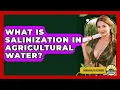 What Is Salinization In Agricultural Water - Farm Wealth Network