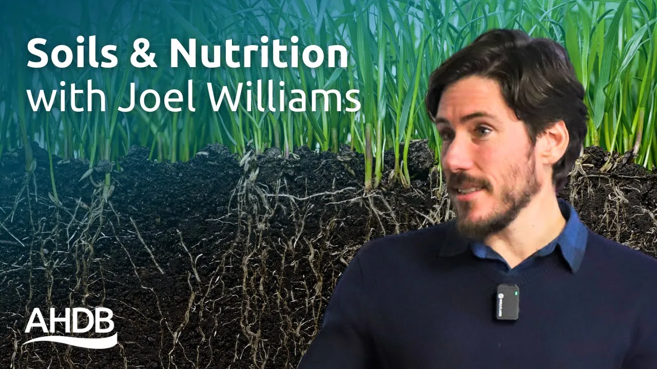 Soils and Nutrition with Joel Williams | AHDB