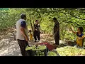 Download Lagu Amir Agha becomes a garden worker to arrest the husband of single mother.