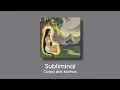 Subliminal: Corpo dos sonhos. NandaTsunami - P.I.T.T.Y (Parecendo Uma Cafetina)