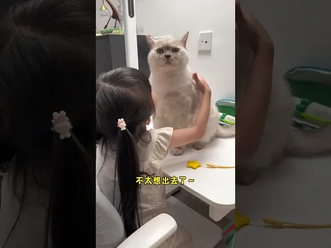 我怀疑她俩真的能交流!#人类幼崽 #cat #猫 #catandbaby #shorts 【十八的萌喵日记】