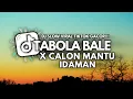 Download Lagu DJ TABOLA BALE X CALON MANTU IDAMAN ( SLOW REMIX OFFICIAL )