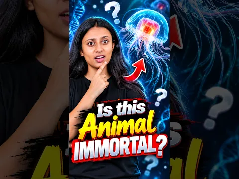 This Animal Lives FOREVER... Literally! 🤯