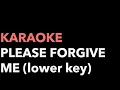 Lagu Please Forgive Me - Bryan Adams (Karaoke version - lower key)