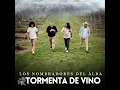 Tormenta de Vino