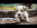 Download Lagu 24 Hours Anti Anxiety Music for Dogs - Cure Separation Anxiety for Dog \u0026 Calming Stress Relief Dogs