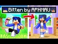 Download Lagu BITTEN by APHMAU In Minecraft!