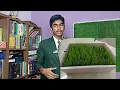 ECOCARBON BIOMAT SYSTEM ECBS - WINSTEM2026