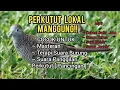 Download Lagu SUARA PERKUTUT LOKAL- AMPUH UNTUK PIKAT!! NYAUT LANGSUNG!! - Mp3 - Full 1 Jam