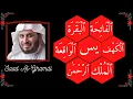 Download Lagu || Al-Fatiha: Al-Baqarah: Al-Kahf: Yaseen: Ar-Rahman: Al-Waqiah: Al-Mulk || Saad Al Ghamdi