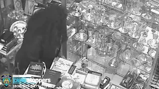 1800 Plates Stolen in Brooklyn