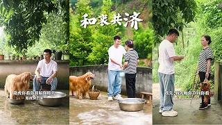 當我們真誠地對待鄰裏，我們會發現，村落不僅是居住的地方，更是充滿人情味的大家庭❤️#金毛路虎