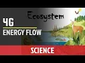 Energy Flow Science