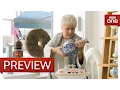Dame Judi Dench in the china shop - Tracey Ullman s Show Series 2 Episode 3