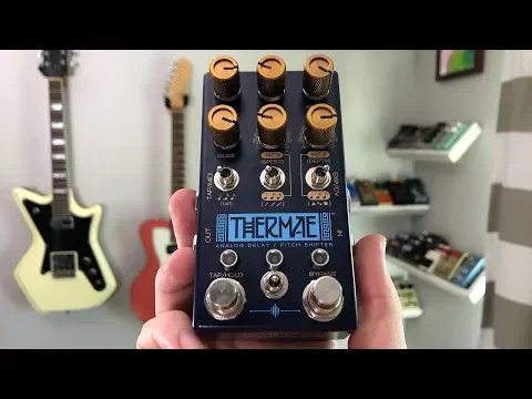 Chase Bliss Audio Thermae Delay + Pitch Shifter | Delicious Audio