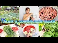 Download Lagu Как такое может быть🤔?Летний коктейль и домашний полезный компот😋.