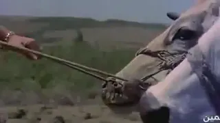 رعد الناصري موال شمالاي مقطع مؤلم مشاهدة ممتعة 