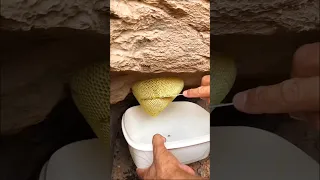 خلية عسل بوطويق من موسم السدر الحمدلله 