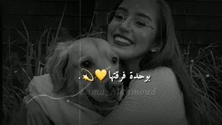 ضحكتها مبتهزرش     دندنها