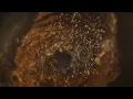 WHISKEY WHISKEY (Official Lyric Video) - Graham Barham