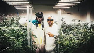 Heuss L'enfoiré - Marsellus Wallace (Clip Officiel)