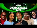 Download Lagu NEW DANCEHALL MIX 2025.VYBZ KARTEL. SHENSEEA. SKILLIBENG. RBMG.ALKALINE.POPCAAN. 450. KRAFF. INTENCE