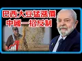Lagu Profiteer van de situatie! De prijzen van Braziliaanse sojabonen voor China zijn enorm gestegen, ...