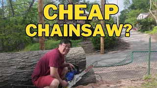Buying the Cheapest Chainsaw on Amazon what could go wrong Storm Clean Up Episode 3