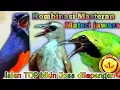 Download Lagu kombinasi Masteran Materi jawara trucukan cucak ijo dan murai batu isian top bikin Joss dilapangan