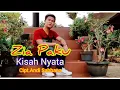 Lagu Gitar Tunggal Lampung ||Kisah Nyata ~ Cipt.Andi Sahbana Vocal.Zia Paku