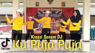 Download SENAM DJ KU PUJA PUJA | DJ KENTRUNG SKA | WRL KREASI MP3