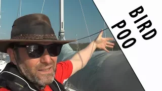 BIRD POO on a YACHT