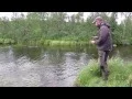 Download Lagu Sjaunjaälven 2013