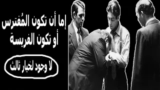 الدليل الكامل لوصولك إلى أعلى مراتب القوة دندنها