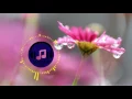 Download Lagu JJD - Adventure [Glitch Hop] (1 Hour Loop)
