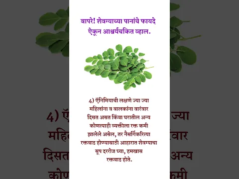 बापरे! शेवग्याच्या पानांचे एवढे फायदे होतात, ऐकून आश्चर्य वाटेल.