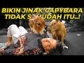 Lagu AKHIRNYA MENEMUKAN CARA BUAT JINAKIN JUNET DAN JENAB