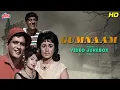Download Lagu गुमनाम फ़िल्म के सारे गाने एक साथ HD] ओल्ड हिंदी सॉन्ग : Lata Mangeshkar, Mohammed Rafi, Asha Bhosle