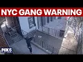 NYC gang membership reaches all-time high police warn