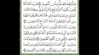 سورة التحريم مكررة الآيات من 10 إلى 12 Surah At Tahrim Is Repeated 