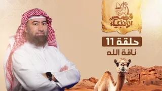 نبيل العوضي قصة ناقة الله و كيف اهلك الله ثمود 