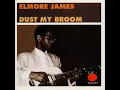 The Sky Is Crying - Elmore James