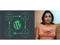 4 Understanding Loop Basics in WordPress