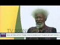 Wole Soyinka hits at Tinubu over Seyi Tinubu's security details