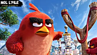 طائر صغير يتحد مع اصدقائه لإنقاذ جزيرتهم مغامرات الطيور الغاضبة جميع الأجزاء Angry Birds1 2 