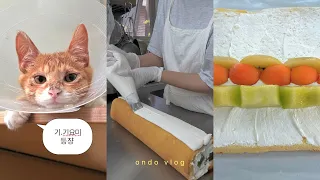 여름방학 전 바쁜 카페영업,아기 고양이를 구조했다..🙀,젤리슈즈 꾸미기 🩰